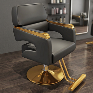 Sillón de Peluquería, Silla de Belleza de Cuero y Metal, Especializado, Ajustable, Elevable, Giratorio, Sencillo, para Salón de Belleza - Product Image 1