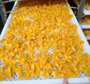 <span class=keywords><strong>Vassoio</strong></span> per la conservazione della Pasta <span class=keywords><strong>plastica</strong></span> per uso alimentare con griglia campione gratuito <span class=keywords><strong>vassoio</strong></span> in <span class=keywords><strong>plastica</strong></span> bianca <span class=keywords><strong>vassoio</strong></span> in <span class=keywords><strong>plastica</strong></span> formato sottovuoto - Product Image 5