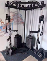 Dinuo Compact "Small Bird" Appareil d'entraînement fonctionnel - Salle de sport à domicile tout-en-un avec rack à squats, crossover de câbles et lat pulldown