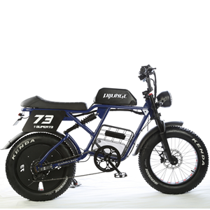 Vélo électrique hybride à gros pneus puissant 48v 15Ah 350W en gros, longue portée, tout-terrain, vélo électrique tout-terrain - Product Image 5