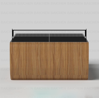 Table de tennis de table professionnelle en bois massif importé, durable, OEM ODM, logo personnalisé, taille sur mesure pour la maison, le bureau, le club, les sports et loisirs en intérieur