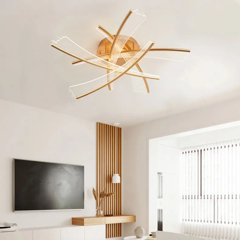 Modern Simple Atmosphere Light Luxury Creative Nordic Minimalist Light Guide Plate Dining Room Hall Shape Modern Ceiling Lamp