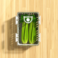 Ensemble de bacs pour réfrigérateur de cuisine, organisateur de fruits et d'aliments pour la maison, récipients de conservation pour légumes frais, boîte de rangement