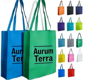 Sac de shopping personnalisé en tissu non tissé, prix bas, recyclable, écologique, sac fourre-tout promotionnel en tissu non tissé pp - Product Image 1