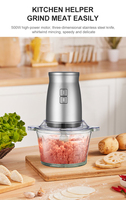 Krachtige 500W ABS 2L glazen kom multifunctionele stille 2-snelheden keukenmachine (krachtige elektrische hakselaar blender molen)