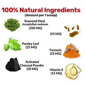 La poudre pour dents de chien soutient des gencives saines et une haleine fraîche sans brossage. Formule de repas aux algues pour le soutien immunitaire - Product Image 3