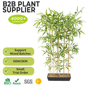 Bambou artificiel géant personnalisé <span class=keywords><strong>de</strong></span> 3m ou 4m avec pot, pour intérieur/extérieur, écran d'intimité, faux bambou <span class=keywords><strong>en</strong></span> plastique - Product Image 2