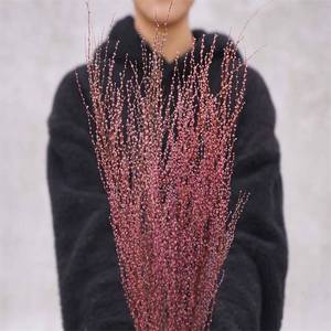 Ppl26 cây vĩnh cửu sắp xếp hoa bảo quản tuyết trắng chi nhánh liễu cành cây liễu - Product Image 3