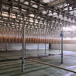<span class=keywords><strong>KBT</strong></span> Qualité garantie Chaud en Afrique plumeur de plumes de poulet poulet canard oie équipement d'abattoir - Product Image 4