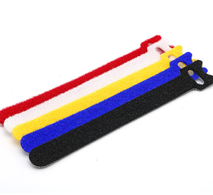 Produttori di Formato Personalizzato Gancio E Anello Per La vigilanza 100% Nylon Cable Tie - Product Image 4