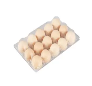 Wholesale Customized 6 12 15 20 Holes Quail Plastic Egg Tray Box