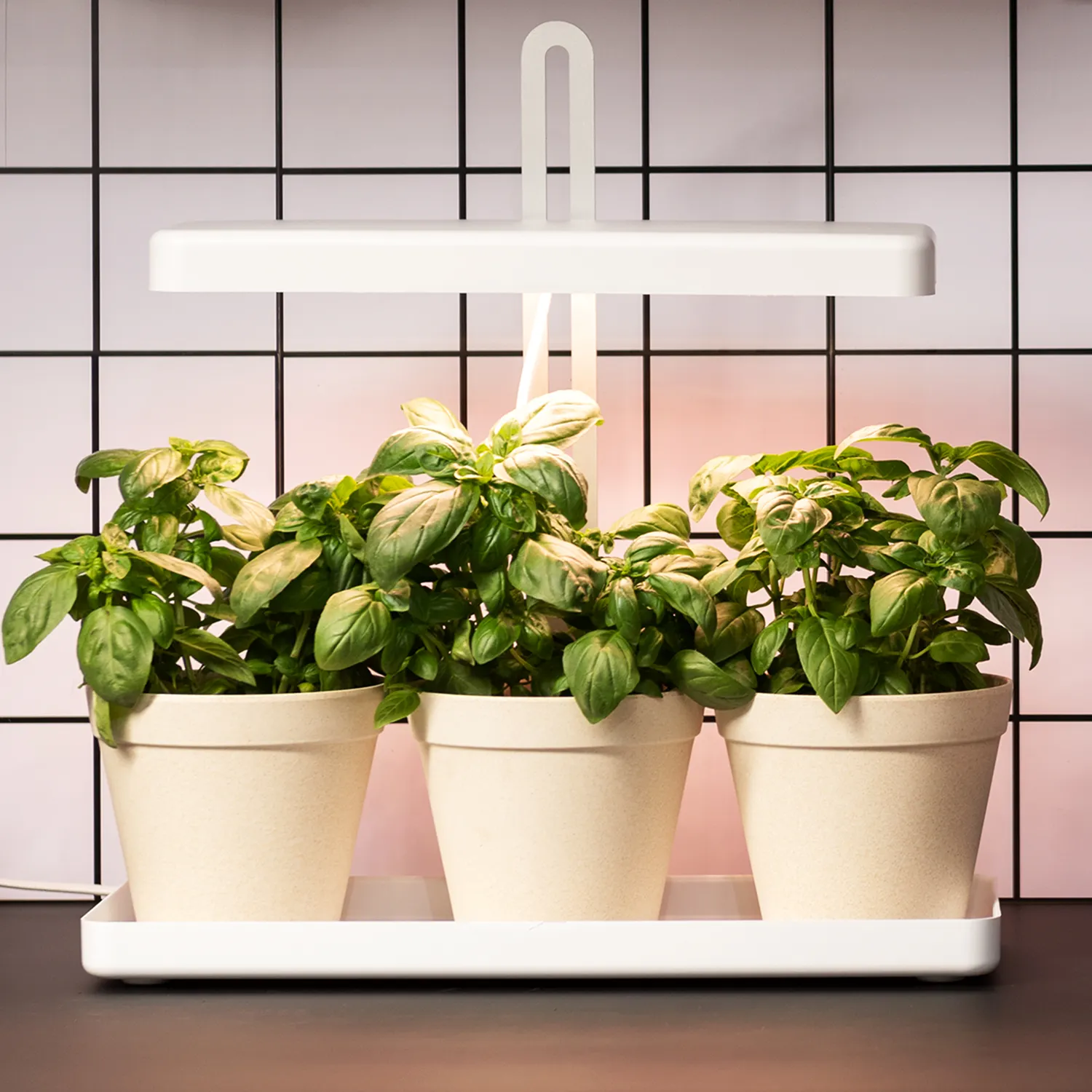 LED屋内ガーデンキット自動作業ハーブ成長キット内のタイマーは、スマートガーデン成長ライト屋内植物からのライトを導きました