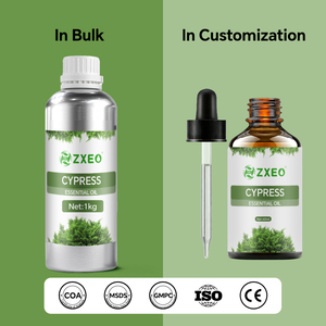 Aceite Esencial de Ciprés Puro y Natural al por Mayor |   Aceite Esencial de Cupressus <span class=keywords><strong>Sempervirens</strong></span> Destilado al Vapor para Aromaterapia y Ambientador - Product Image 3