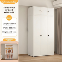 Armoire Pliante Moderne en Acier Simple avec 2 Étagères, Design Écologique, Multi-Portes, Autoportante, Poignées Métalliques, Rangement pour Chambre et Balcon