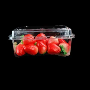 식품 플라스틱 상자가있는 500g 친환경 일회용 클램쉘 식품 용기