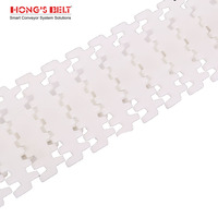 Chaînes flexibles latérales Hongsbelt 7100-140, chaînes de convoyeur flexibles en plastique