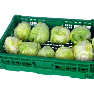 HDPE Plastic Foldable Folding Vented Collapsible Fruit and Vegetable Storage Stackable Folding Crate