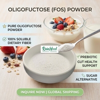 Poudre d'oligofructose Rainwood de qualité alimentaire, ingrédient prébiotique pour compléments alimentaires et aliments fonctionnels, approvisionnement en vrac