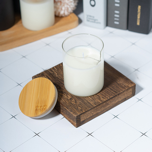 Nến thơm trị liệu bằng sáp đậu nành thủ công, thân thiện với môi trường, cao cấp, bán buôn, quà tặng Giáng sinh, lễ hội Diwali, spa, sữa dưỡng thể - Product Image 6