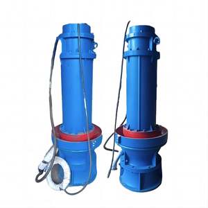 Hot Sale <b>Submersible</b> Centrifugal Electric Water Vertical Axial Flow Irrigation <b>Pump</b> QZB350 - Product Image 2