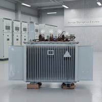 Transformateur haute tension Shenghua à usage industriel, modèle à bobinage divisé, double phase, entrée 3kV/6kV/10kV, sortie 110V/220V/380V/440V, 50/60Hz