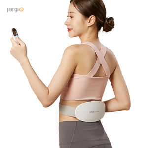 Almohadilla calefactora caliente con vibración de tejido profundo EMS eléctrica para aliviar el dolor de espalda, calambres, cinturón masajeador de cintura Lumbar Abdominal - Product Image 2