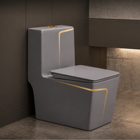 WC monobloc gris minimaliste moderne avec ligne dorée, chasse d'eau siphonique en céramique pour salle de bain contemporaine