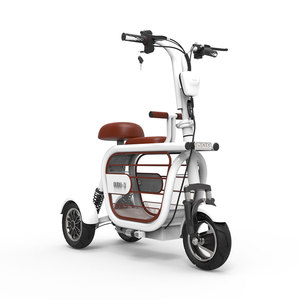 Nouveau Design <span class=keywords><strong>2022</strong></span> Pet <span class=keywords><strong>Scooter</strong></span> <span class=keywords><strong>Trois</strong></span> <span class=keywords><strong>Roues</strong></span> Vélo Électrique 3 Roue Tricycle - Product Image 4