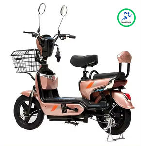 Moins cher adulte vélo électrique batterie au plomb vélo électrique 500w famille <span class=keywords><strong>Cargo</strong></span> vélo électrique avec panier porte-bagages arrière - Product Image 2