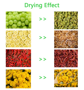 Deshidratador Industrial <span class=keywords><strong>de</strong></span> Copra <span class=keywords><strong>de</strong></span> 1000 kg, Secador <span class=keywords><strong>de</strong></span> Banda Transportadora, Secador <span class=keywords><strong>de</strong></span> Fibra <span class=keywords><strong>de</strong></span> Plátano, Secador <span class=keywords><strong>de</strong></span> Patatas - Product Image 6