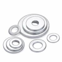 Customized Stainless Steel Galvanized Steel Plain Flat Washer