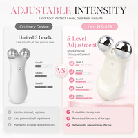 Masseur facial à micro-courant 5 niveaux, double rouleau pour le visage et le cou, appareil de beauté rechargeable Type C pour usage domestique OEM ODM