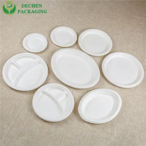 Compartment Plate Bagasse Trays