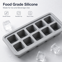 Molde de silicona para hielo de 10 cavidades para café, jugo, té, servicio de bebidas frías en bares - Colección de temporada