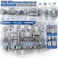 Ligne de production automatique de boissons 2000BPH avec machine de remplissage, de bouchage et d'emballage de bouteilles PET 3-en-1