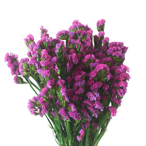 Vraies fleurs préservées oubliez-moi pas fleurs séchées Statice Limonium pour la maison Weedinf Decor - Product Image 2