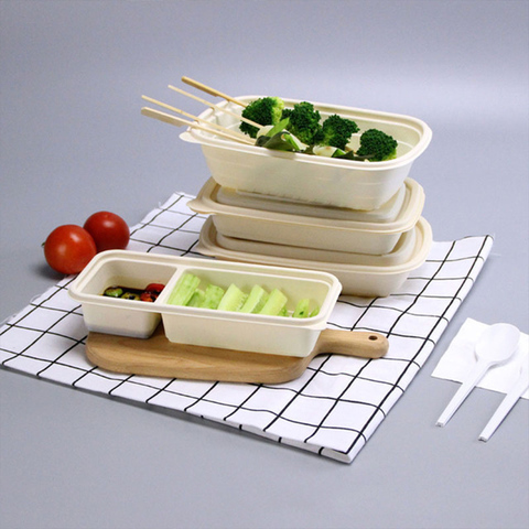 Biodegradable Food Container with Compartments
