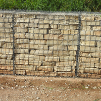Mur de soutènement en gabion carré ondulé pour le contrôle de l'érosion avec revêtement en PVC/galvanisé