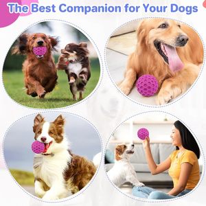 Pelota de Goma Indestructible de Lujo Personalizada de Fábrica para Perros, Alivia la Ansiedad, Limpia los Dientes, Juguete Interactivo para Masticar para Mascotas - Product Image 3