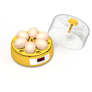 Mini incubateur d'œufs à rotation automatique 6 œufs pour enfants, nouveau Design - Product Image 4