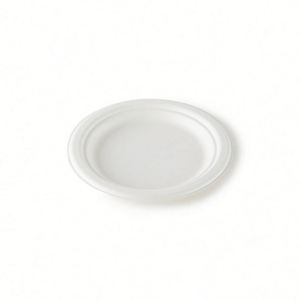 Platos de Papel Biodegradables Personalizados de Bagazo de Caña de Azúcar Blancos, Contenedor Desechable para Alimentos para el Regreso a Clases (Tamaños 9''/10''/12'') - Product Image 2