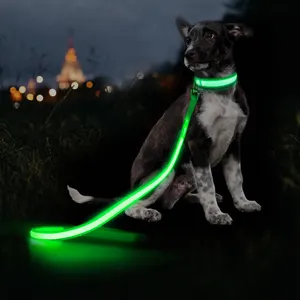 Prezzo all'ingrosso accessori per cani Light Up guinzaglio per cani Led illuminante Led cane Nylon Pet guinzaglio Led ricaricabile