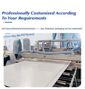 Coffrage en plastique de conception moderne aucun panneaux concrets de forme de déformation qui résistent à la haute température - Product Image 4