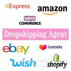 Transitaire DHL UPS FedEx Express Aérien Maritime Ferroviaire Agent de Transport DDP Expédition de Marchandises Chine vers USA Amazon FBA - Product Image 3