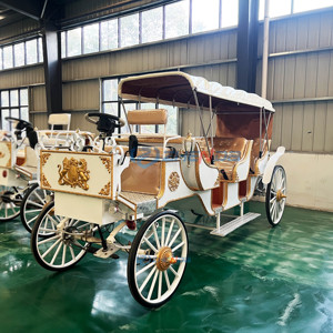 Carruaje de Caballos de Lujo Estilo Cenicienta, Eléctrico, para Bodas, de Alta Calidad, para Paseos Turísticos - Product Image 2