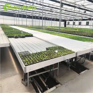 Hot Sale Ebb Flow Tray Vertical Growing Rack Suppliers Ebb and Flow 4x4 Grow Table Hydroponic Systems