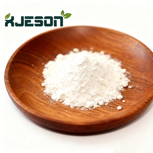 Fornitura di Fabbrica di Enzima Alimentare Proteasi Alcalina in Polvere - Product Image 3