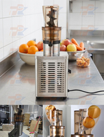 Kleine Juicer Extractor Sap Maken Koude Pers Juicer Machine