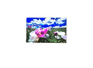 Pantalla LED de alquiler a todo color para interiores y exteriores, pantalla resistente al agua para representaciones teatrales, publicidad de exposiciones - Product Image 3