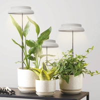 Kit de culture de graines et d'ampoules pour plantes: mini lampes UV + lampes de culture à spectre complet pour une utilisation en intérieur